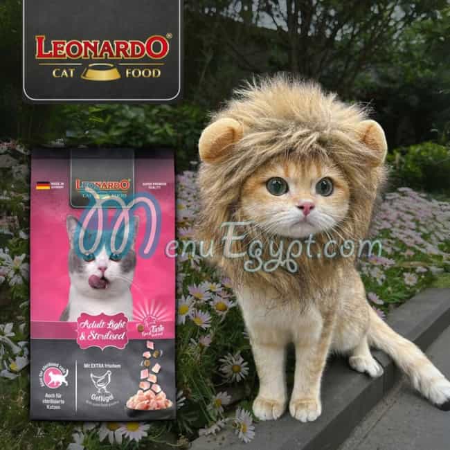 Leonardo Egypt egypt