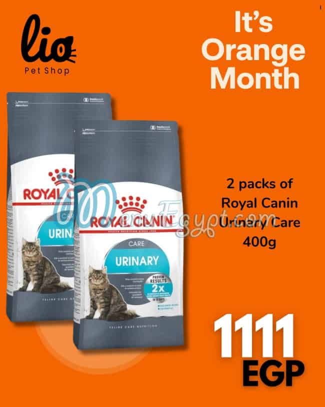 ليو بيتس شوب مصر