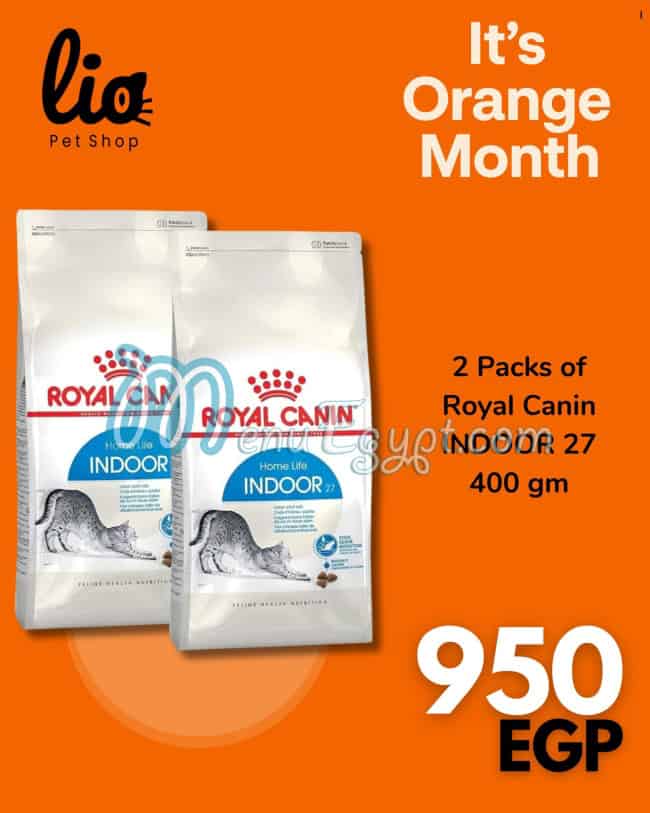 أسعار ليو بيتس شوب مصر