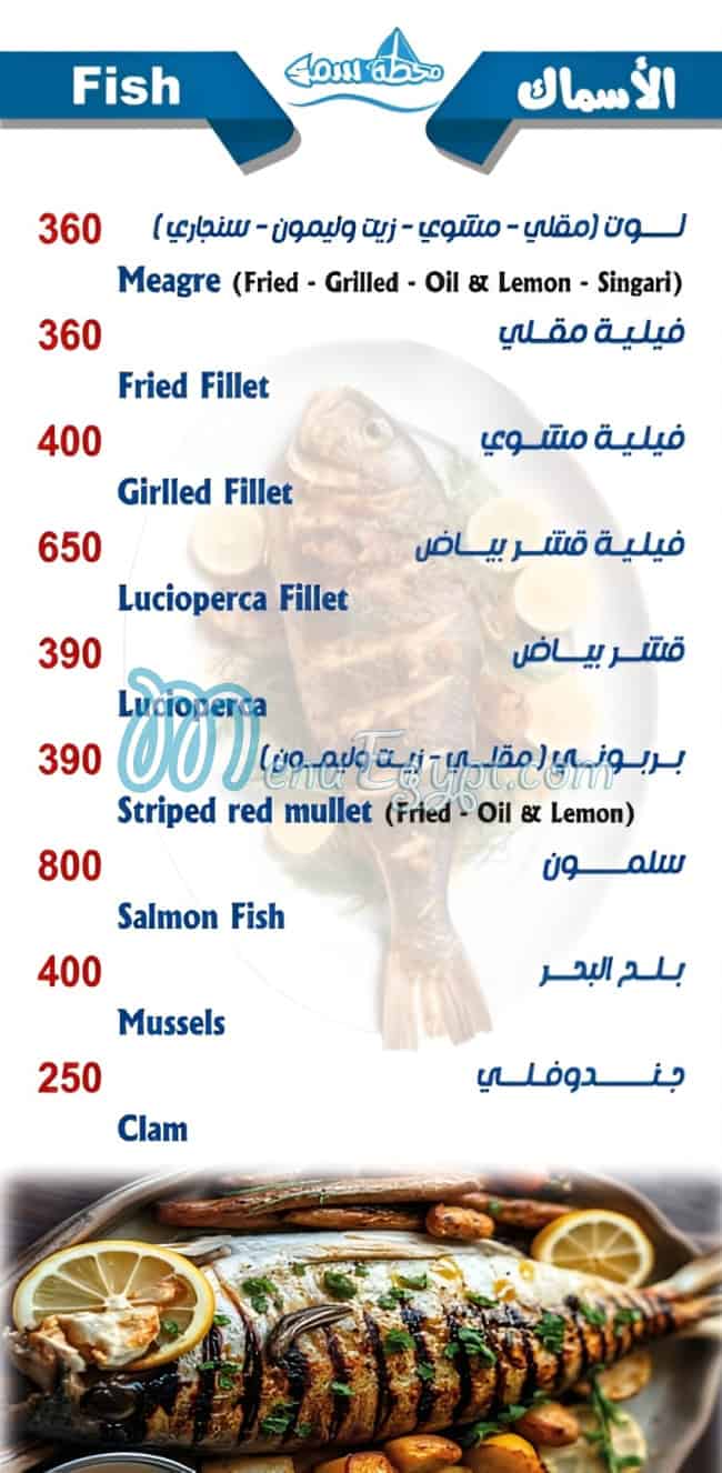 محطة سمك مصر الخط الساخن