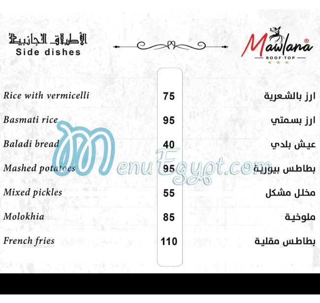 مولانا كافية مصر الخط الساخن