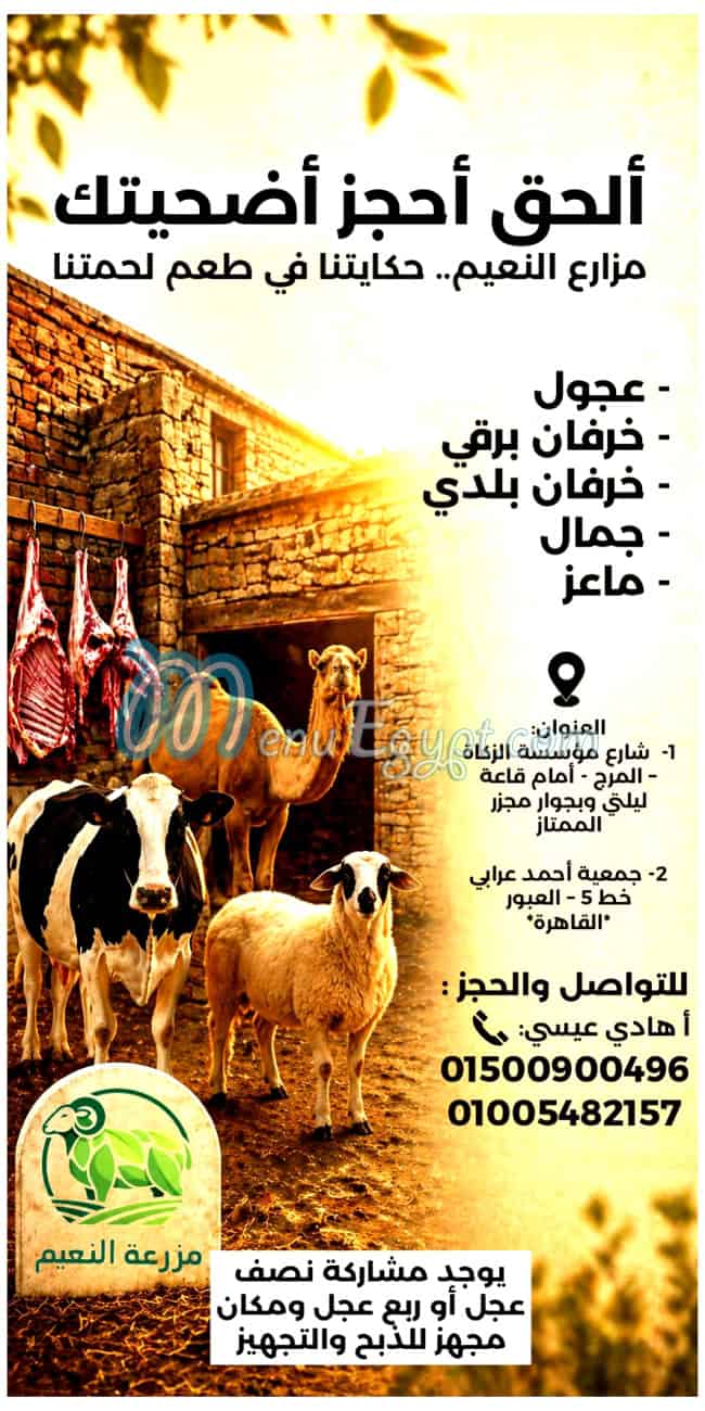 مزرعة النعيم مصر الخط الساخن