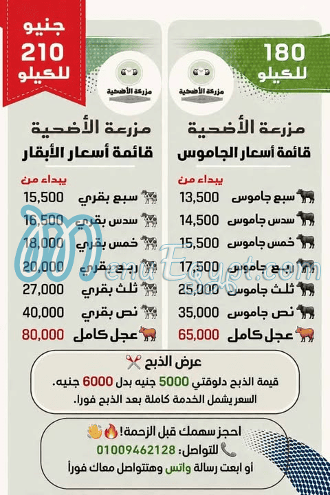 Mazraet Al Udhia menu