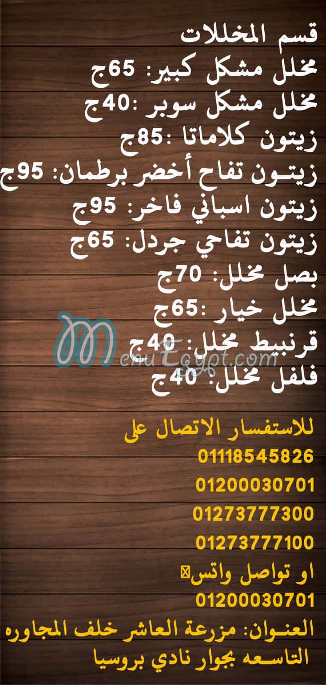 رقم مزرعة العاشر مصر