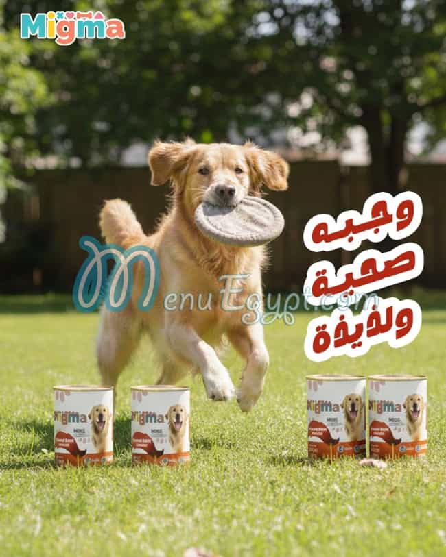 MIGMA egypt