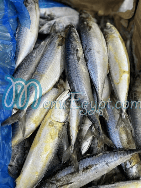 مجمدات اسلام مصر الخط الساخن