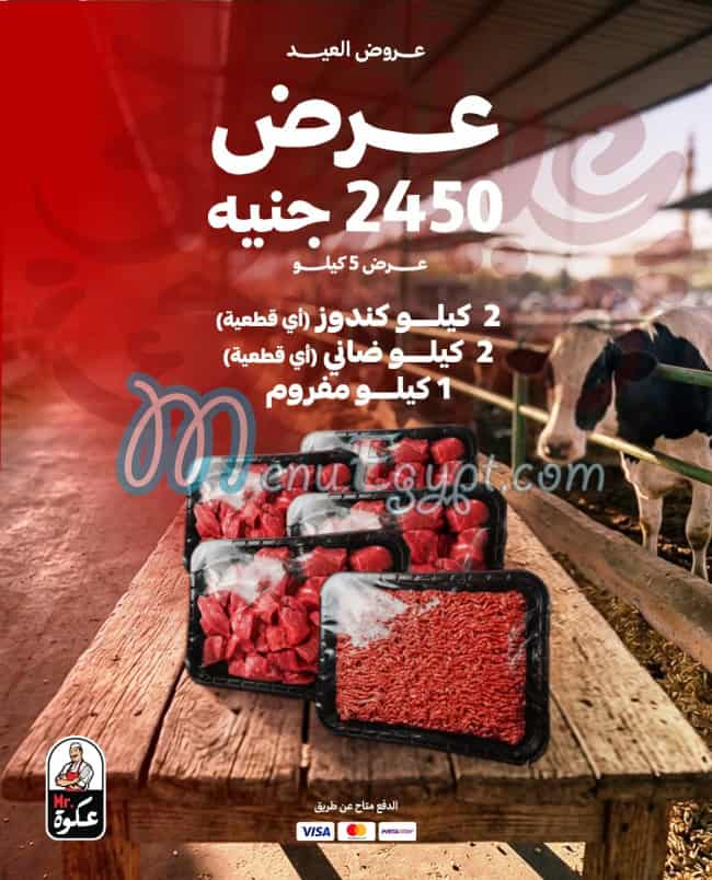 مستر عكوة منيو