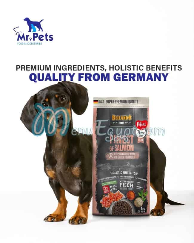 مطعم مستر بيتس مصر