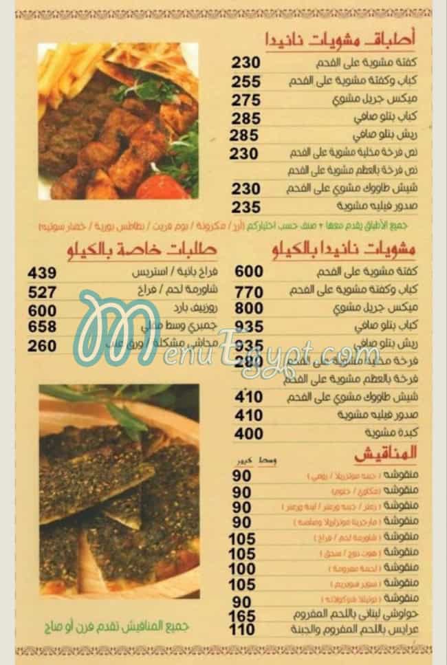 نانيدا مصر الخط الساخن
