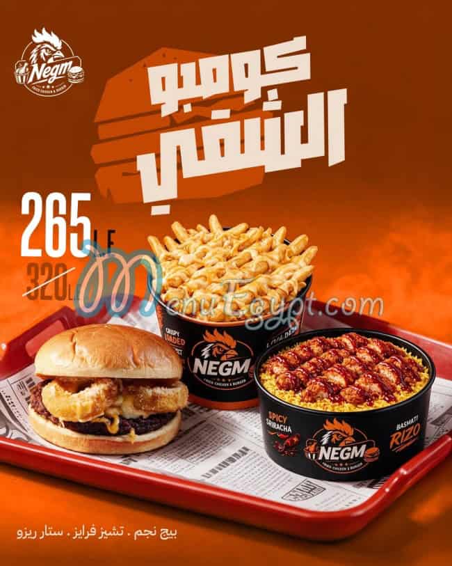 نجم فرايد تشيكن مصر