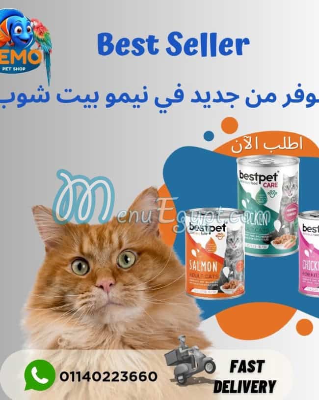 Nemo pet shop egypt