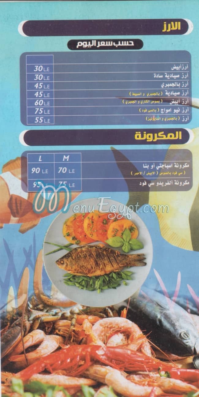 نيو امواج مصر الخط الساخن