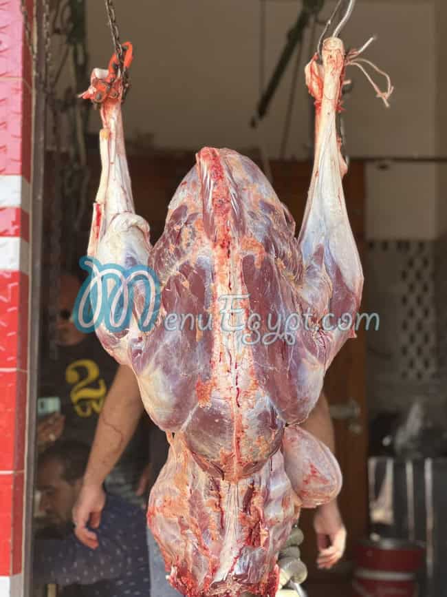 واحة النعام مصر الخط الساخن