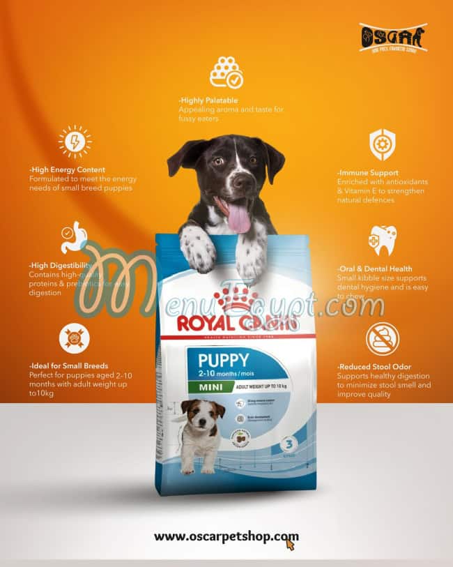 أوسكار بيت شوب مصر الخط الساخن