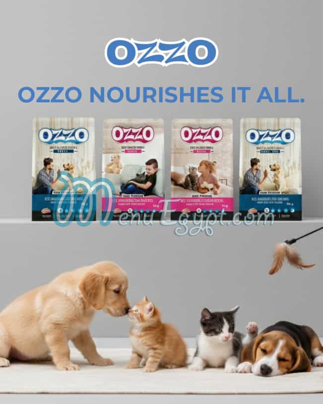 OZZO egypt