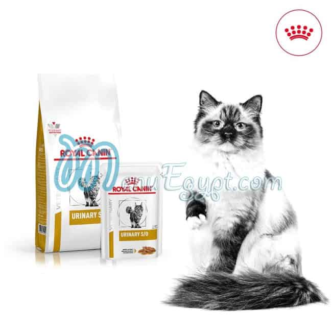 Papa Dogs menu Egypt 3