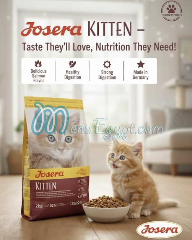 بوز ان بوز مصر