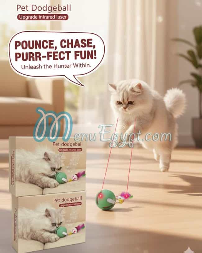 رقم بوز ان بوز مصر