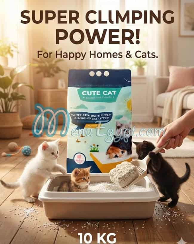 أسعار بوز ان بوز مصر