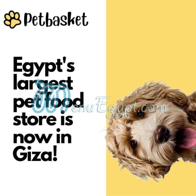 Pet Basket egypt