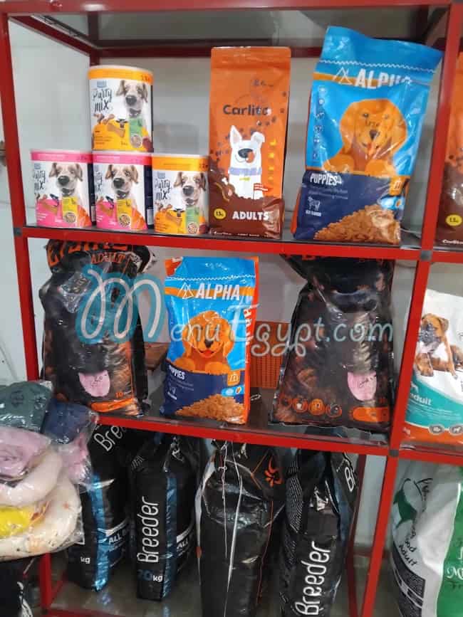 Pet City egypt
