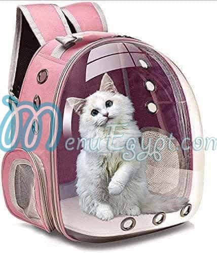 رقم بيت كورنر مصر