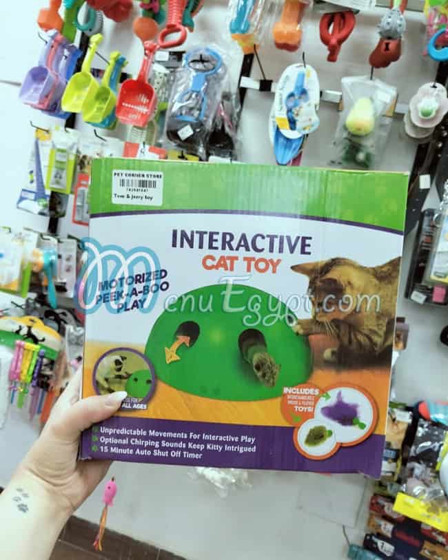 بيت كورنر مصر