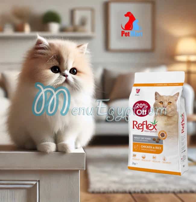 مطعم بيت مارت مصر