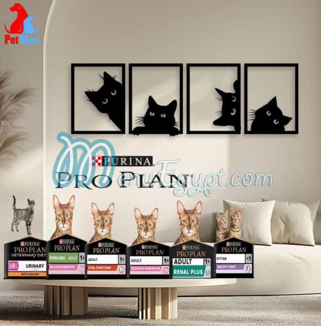 بيت مارت مصر منيو بالعربى