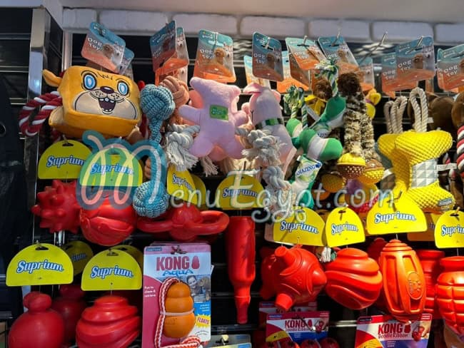 بيتس اند بيتس مصر