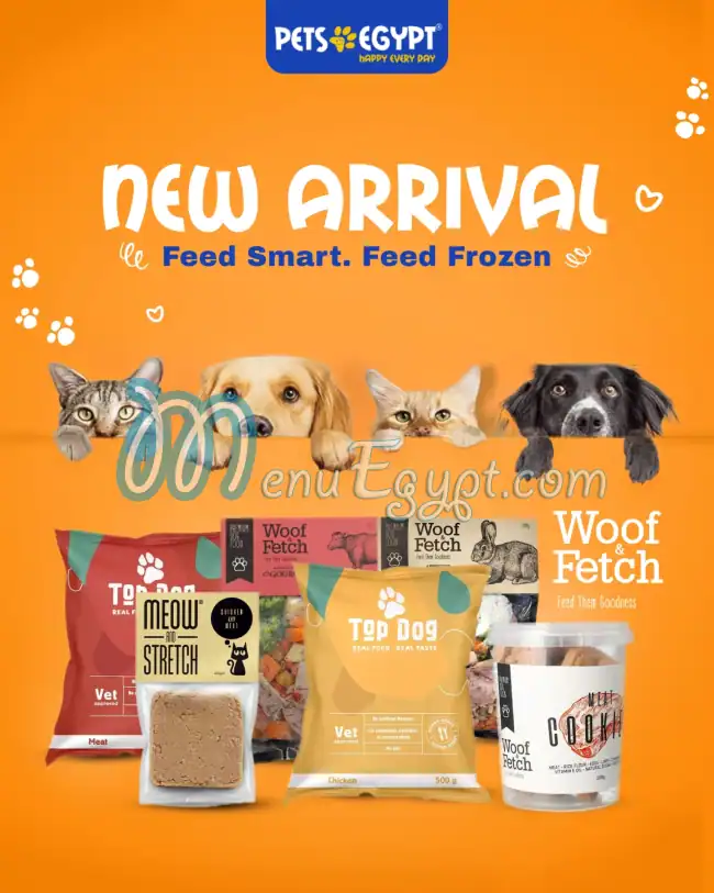 رقم بيتس ايجيبت مصر