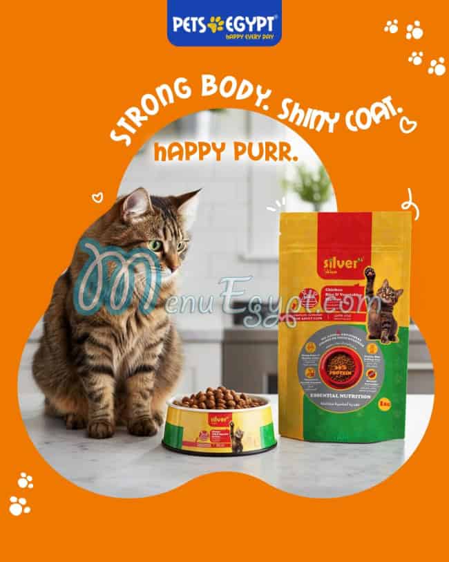 بيتس ايجيبت مصر