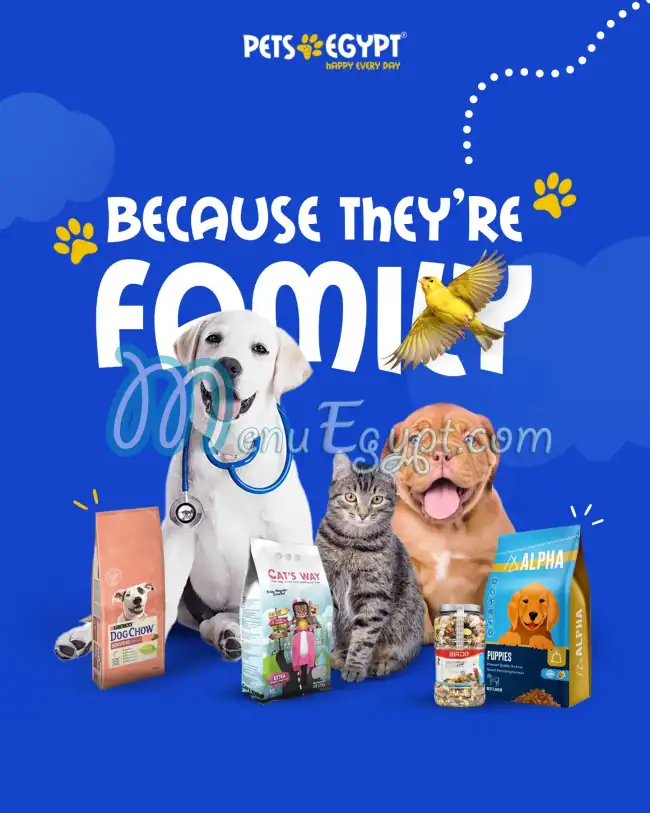 أسعار بيتس ايجيبت مصر