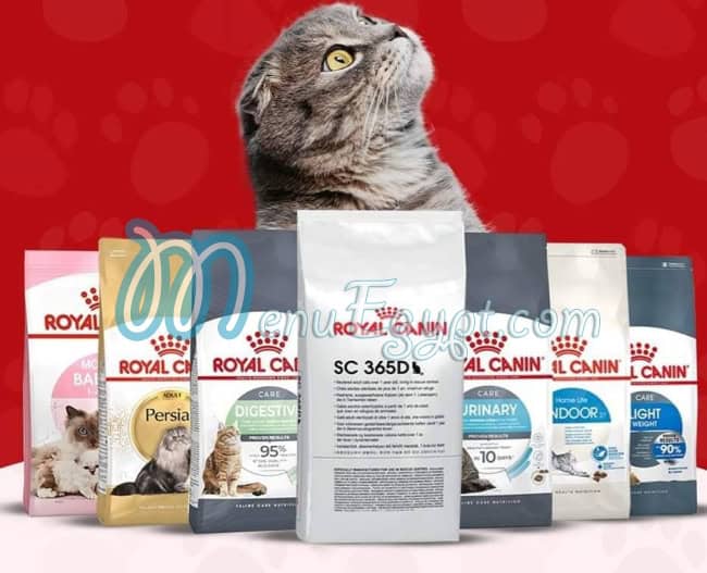 مملكة الحيوانات الأليفة مصر