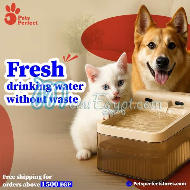 بيتس بيرفيكت مصر الخط الساخن