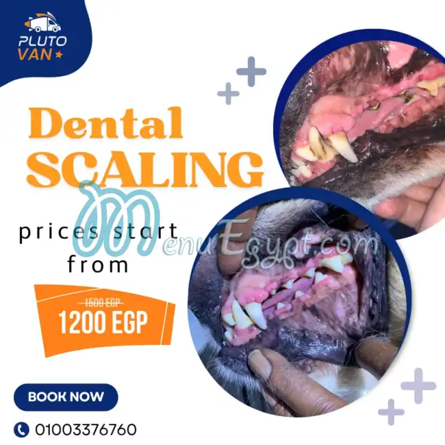 منيو بلوتو بيت شوب مصر