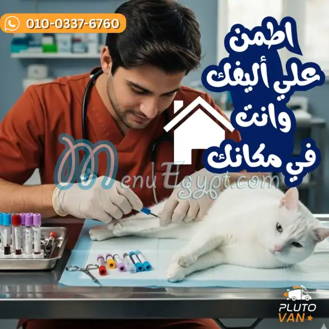 بلوتو بيت شوب مصر منيو بالعربى