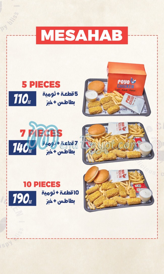 دجاج بويو مصر الخط الساخن