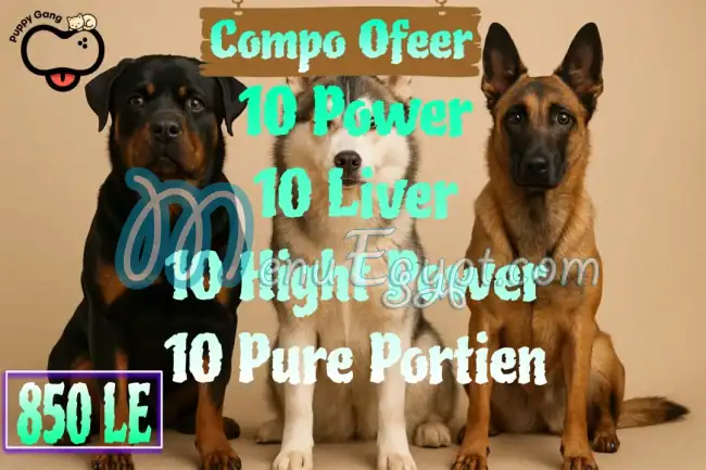 Puppy Gang menu Egypt