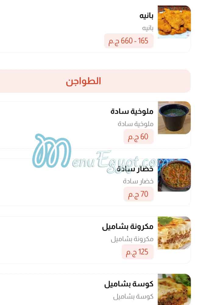 قصر المصطفى مصر الخط الساخن