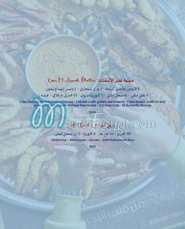 قصر الأسماك مصر الخط الساخن