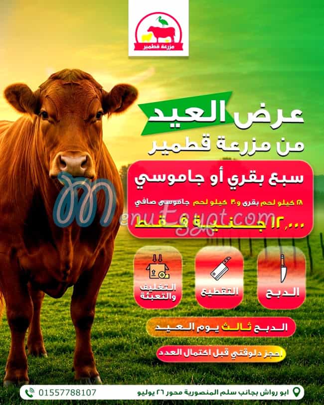 منيو مزرعة قطمير مصر