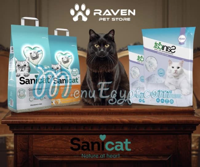 مطعم رافين بيت استور مصر