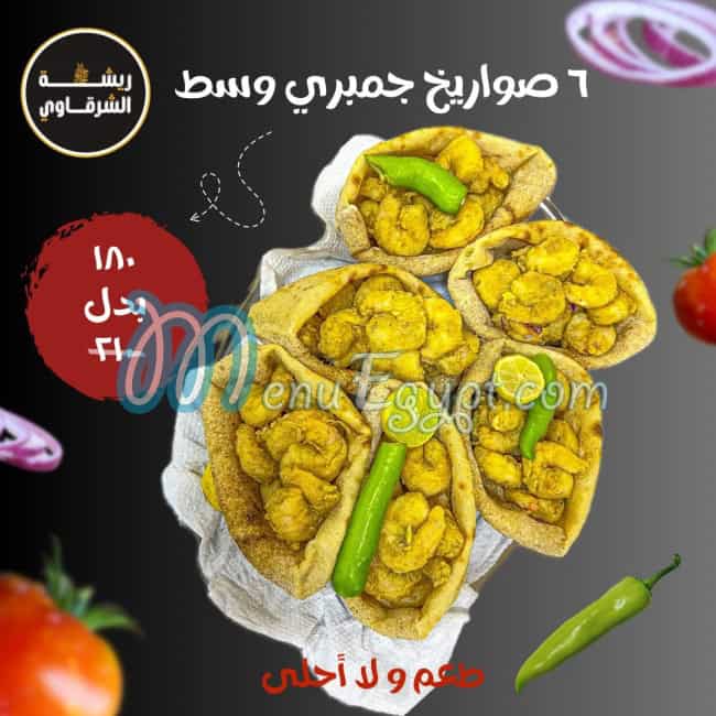 ريشة الشرقاوي مصر