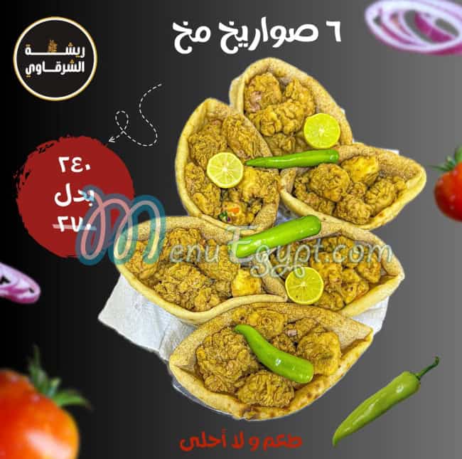 ريشة الشرقاوي مصر