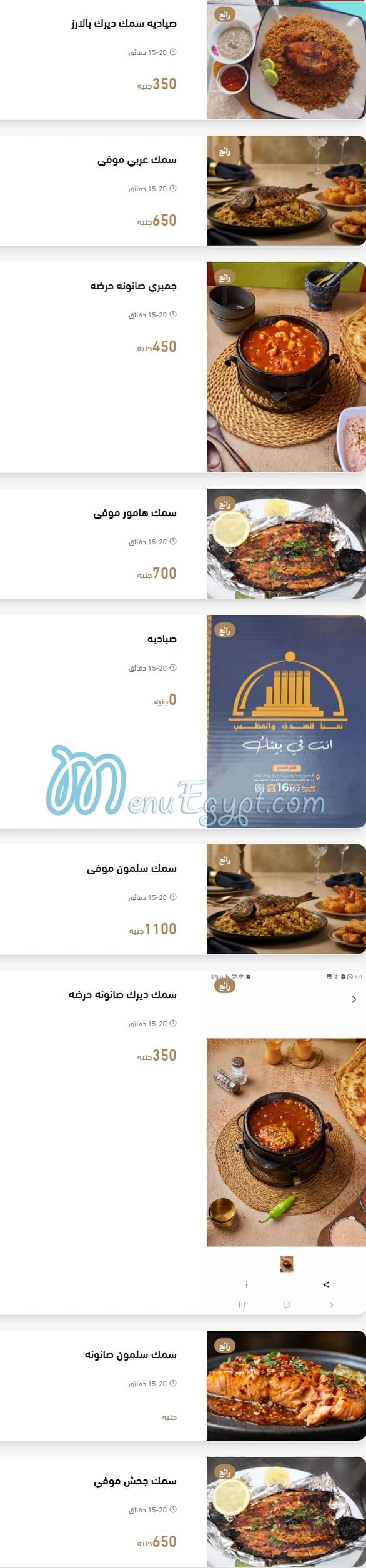 رقم سبأ مصر