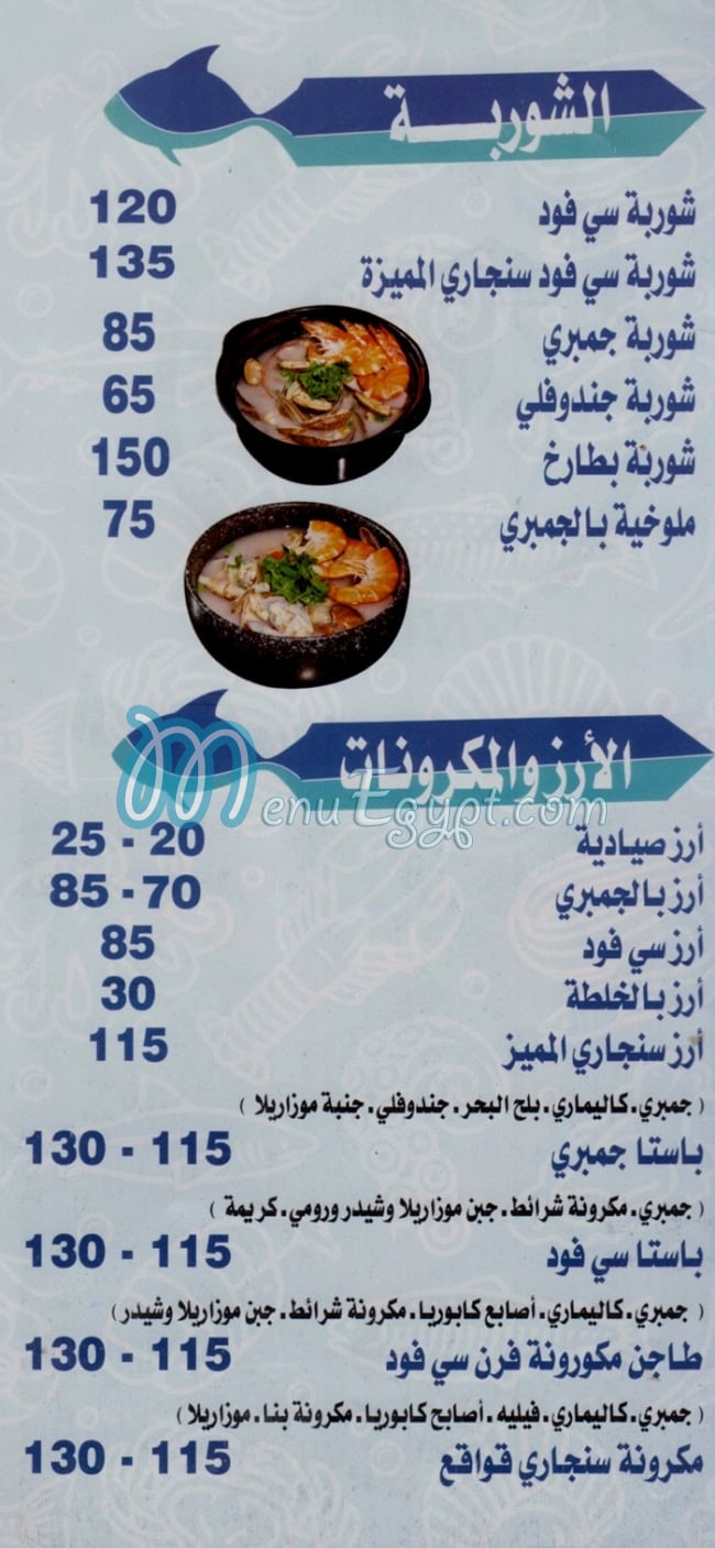 سنجاري مصر الخط الساخن