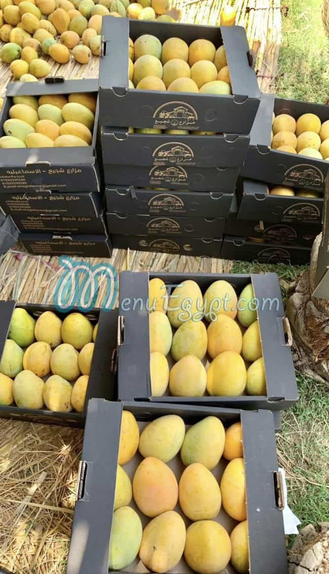 منيو مزارع شجيع