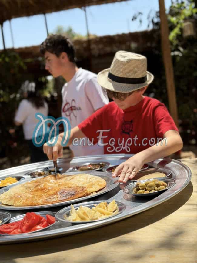 مزارع شجيع مصر منيو بالعربى