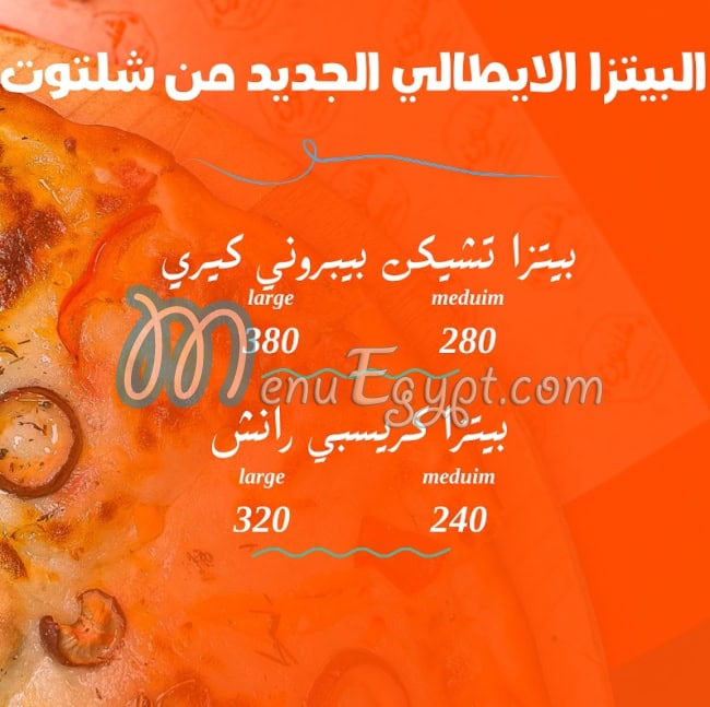 Shaltout menu Egypt 10